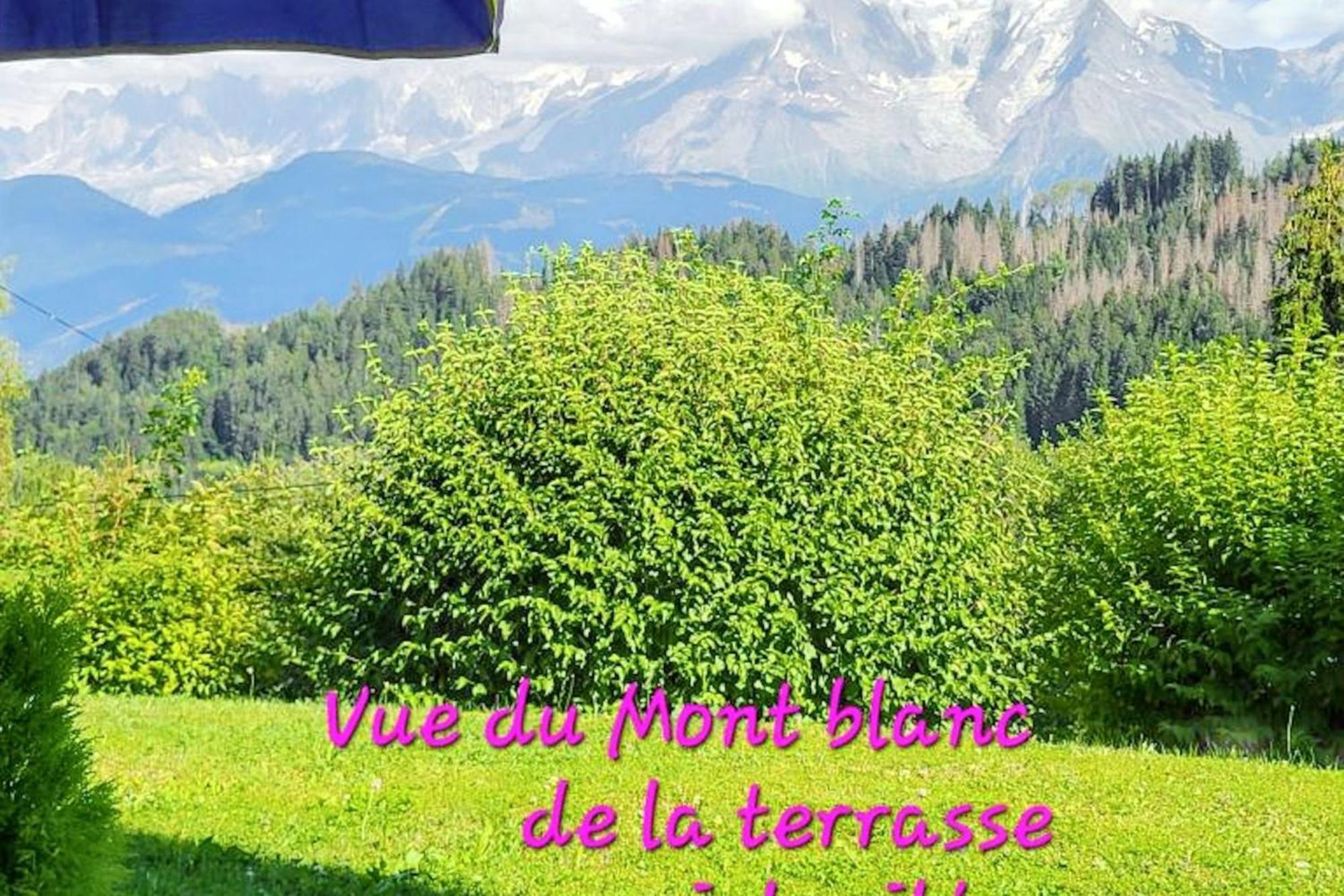 Studio Accueillant A Cordon Vue Mont Blanc 22 M² Parking Inclus エクステリア 写真